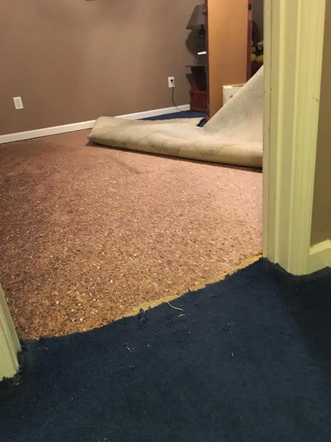 Carpet pad removal revealing water damage during Water Mitigation Services in Pebble Creek