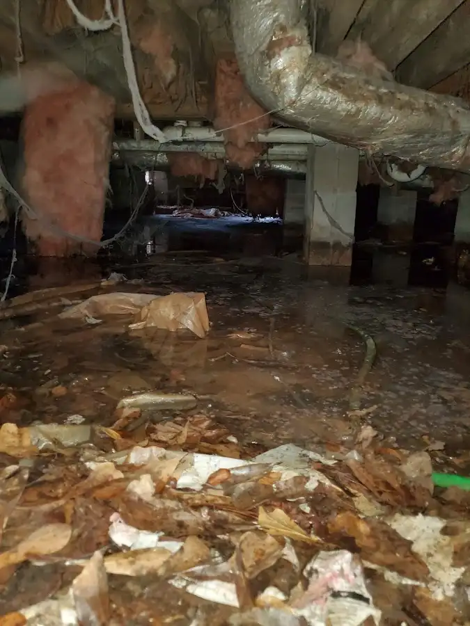Crawl space flood assessment for Leak Detection & Repair in Pebble Creek