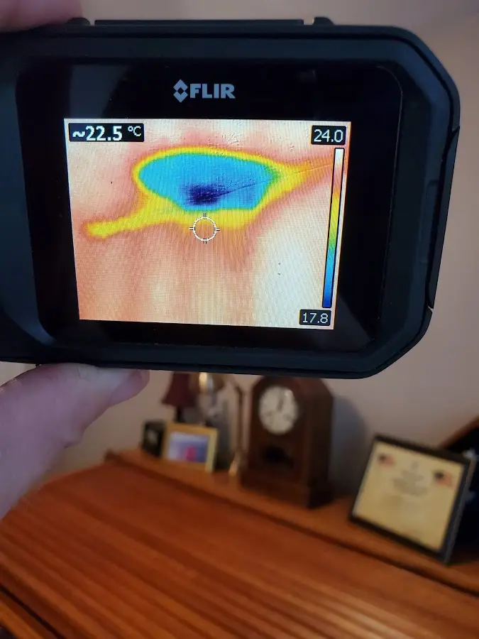 Thermal imaging inspection for water damage in Pebble Creek