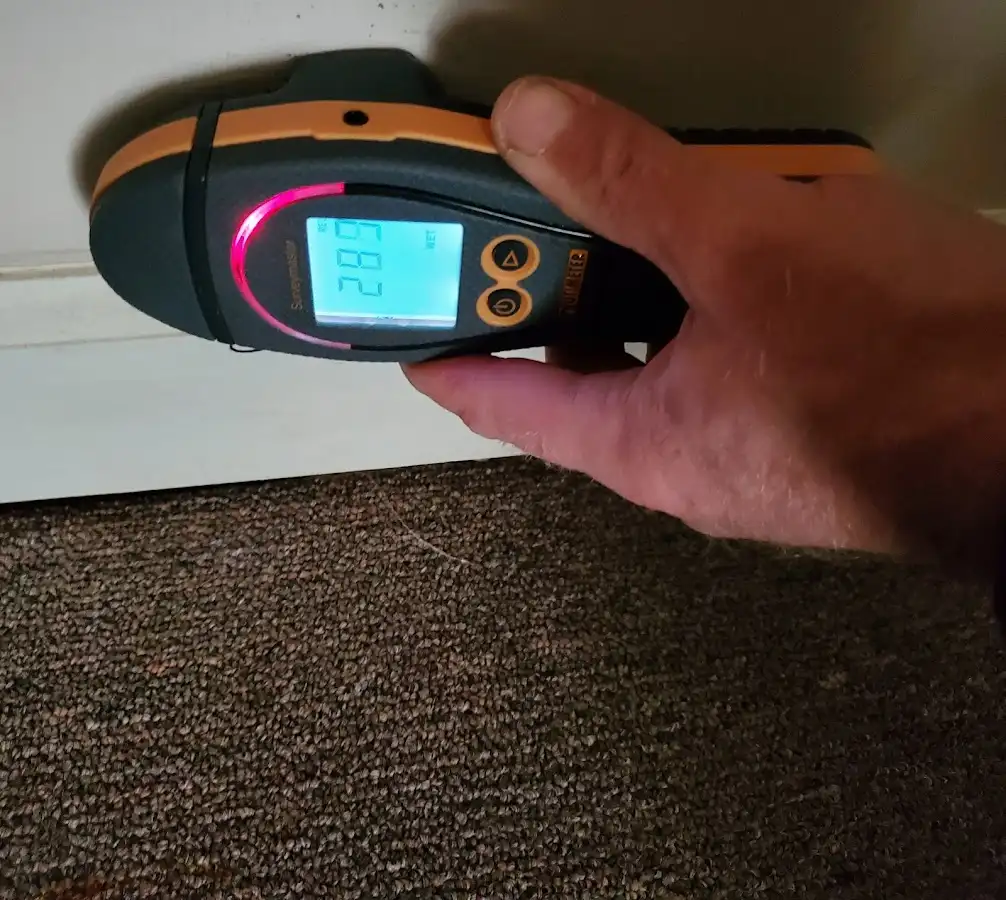 Moisture detection at baseboard during Mold Inspection & Testing in Pebble Creek